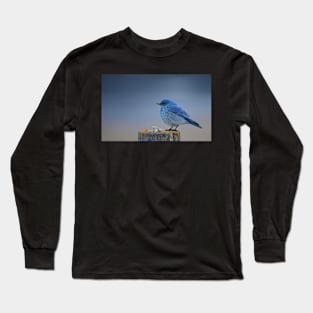 Bluebird Dawning Long Sleeve T-Shirt